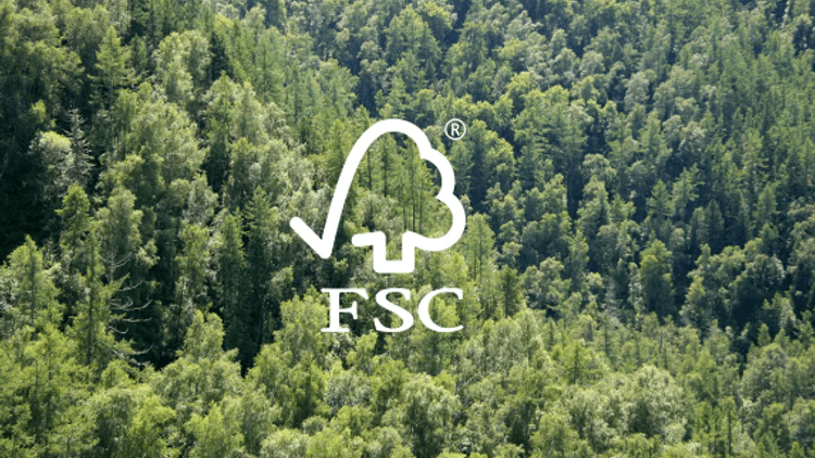 Label FSC dans une forêt gérée de manière responsable
