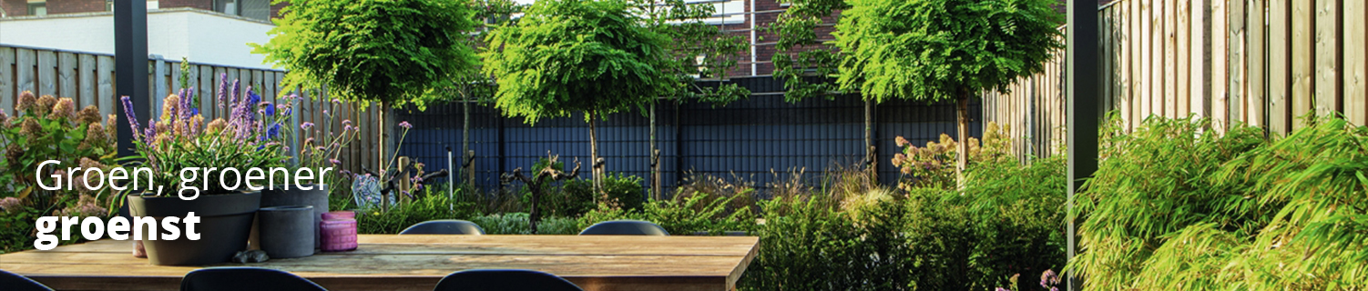 Tips voor een groenere tuin tuinieren